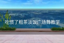 吃惯了粗茶淡饭广场舞教学