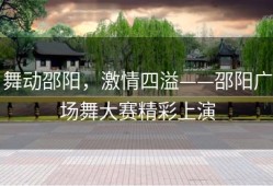 舞动邵阳，激情四溢——邵阳广场舞大赛精彩上演