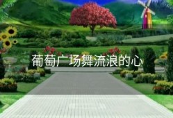 葡萄广场舞流浪的心