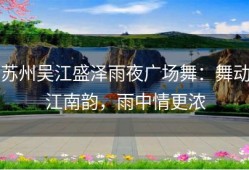 苏州吴江盛泽雨夜广场舞：舞动江南韵，雨中情更浓