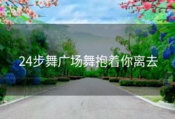 24步舞广场舞抱着你离去