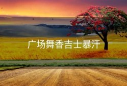 广场舞香吉士暴汗