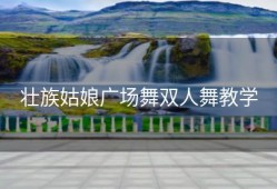 壮族姑娘广场舞双人舞教学