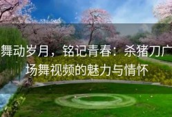 舞动岁月，铭记青春：杀猪刀广场舞视频的魅力与情怀