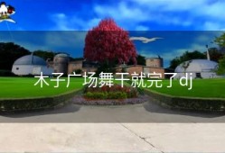 木子广场舞干就完了dj