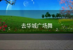 去华城广场舞