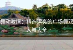 舞动激情：精选漂亮的广场舞双人舞大全