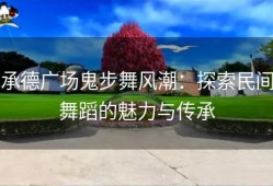 承德广场鬼步舞风潮：探索民间舞蹈的魅力与传承