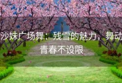 沙妹广场舞：残雪的魅力，舞动青春不设限