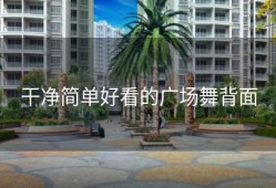干净简单好看的广场舞背面