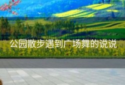 公园散步遇到广场舞的说说