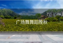 广场舞舞蹈晚秋