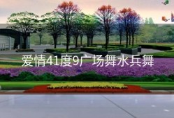 爱情41度9广场舞水兵舞