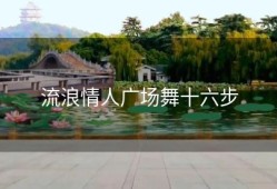 流浪情人广场舞十六步