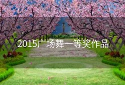 2015广场舞一等奖作品