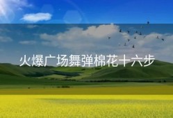 火爆广场舞弹棉花十六步