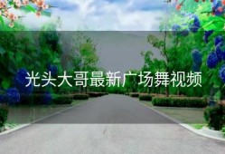 光头大哥最新广场舞视频