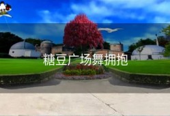 糖豆广场舞拥抱