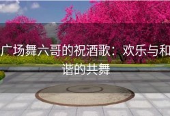 广场舞六哥的祝酒歌：欢乐与和谐的共舞