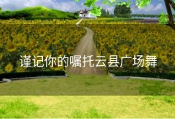 谨记你的嘱托云县广场舞