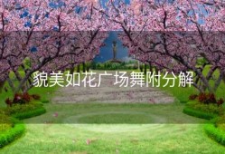 貌美如花广场舞附分解