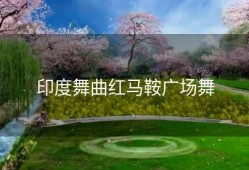印度舞曲红马鞍广场舞