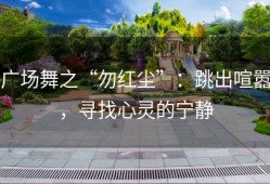 广场舞之“勿红尘”：跳出喧嚣，寻找心灵的宁静