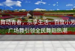舞动青春，乐享生活：百度小芳广场舞引领全民舞蹈热潮