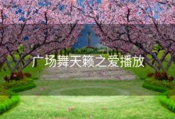 广场舞天籁之爱播放