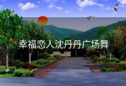 幸福恋人沈丹丹广场舞