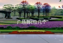 广场舞c位几个