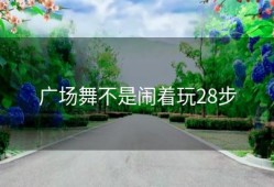 广场舞不是闹着玩28步