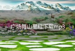 广场舞山里红下载mp3