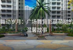 舞动岁月：广场舞背影萌萌哒的温馨故事