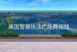 美国警察执法广场舞视频