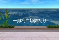 一剪梅广场舞视频