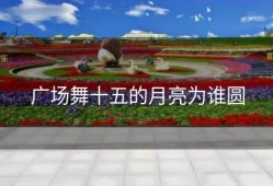 广场舞十五的月亮为谁圆