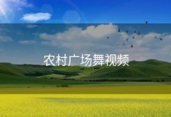 农村广场舞视频