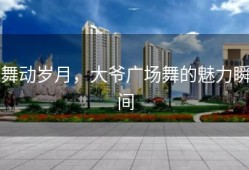 舞动岁月，大爷广场舞的魅力瞬间