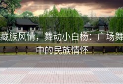 藏族风情，舞动小白杨：广场舞中的民族情怀