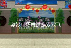 奥妙广场舞蝴蝶双双飞