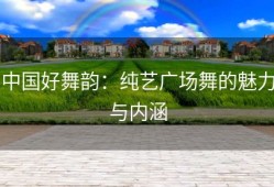 中国好舞韵：纯艺广场舞的魅力与内涵