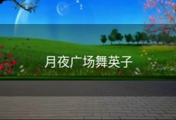 月夜广场舞英子