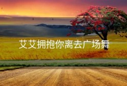 艾艾拥抱你离去广场舞