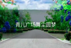 青儿广场舞尘圆梦