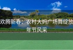 欢腾新春：农村大妈广场舞绽放年节风采