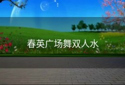春英广场舞双人水