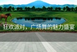 狂欢派对，广场舞的魅力盛宴