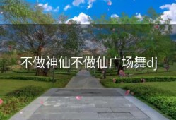 不做神仙不做仙广场舞dj