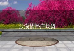 沙漠情怀广场舞
